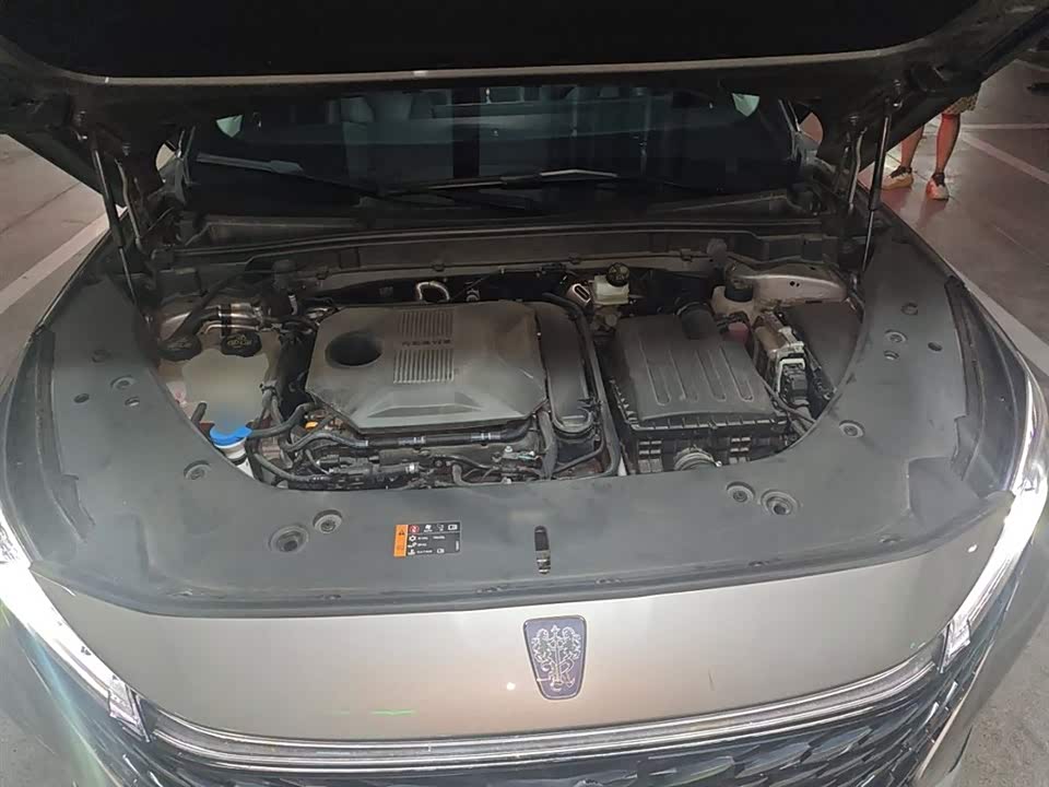 Roewe RX5 New energy