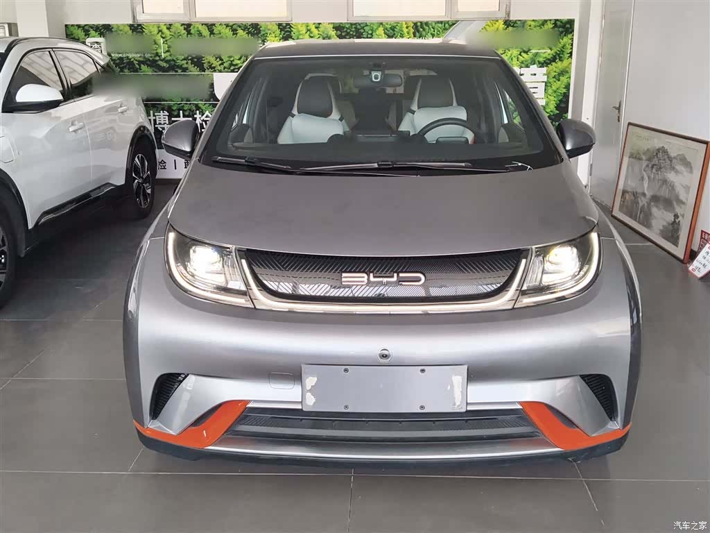 BYD Dolphin, 2022 3