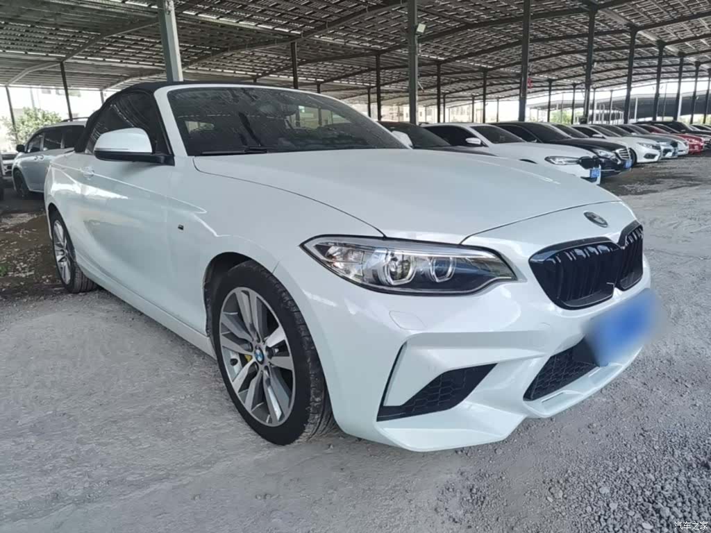 BMW 2 Series, 2017 4