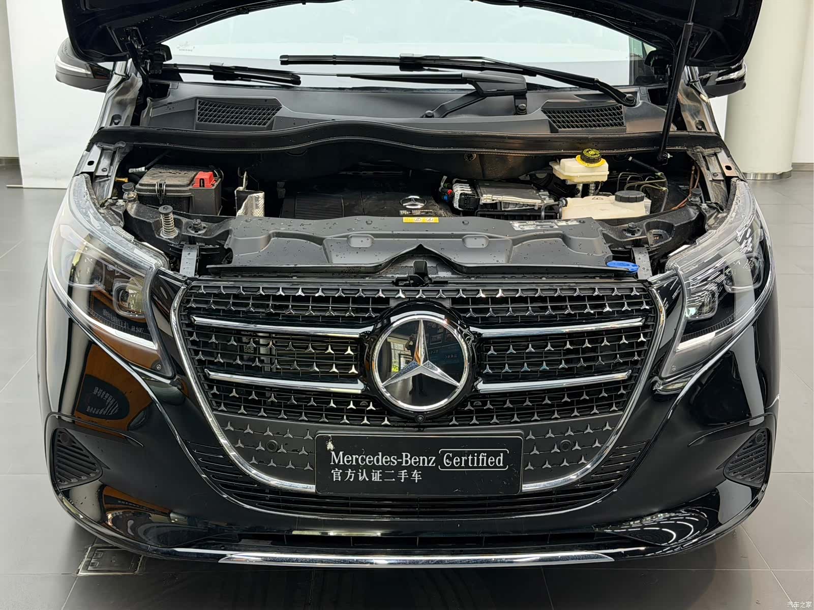 Mercedes-Benz V-Class, 2026 все фото