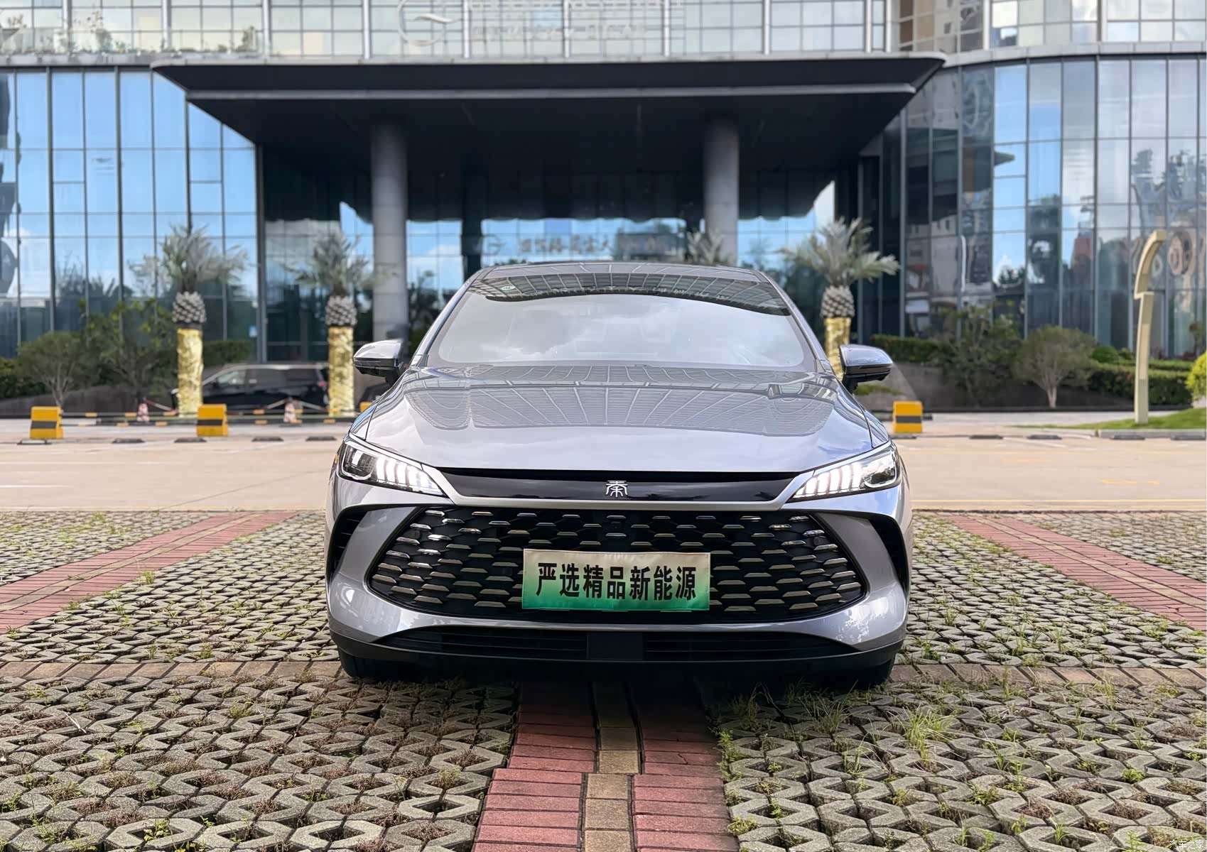 BYD Qin, 2025 2