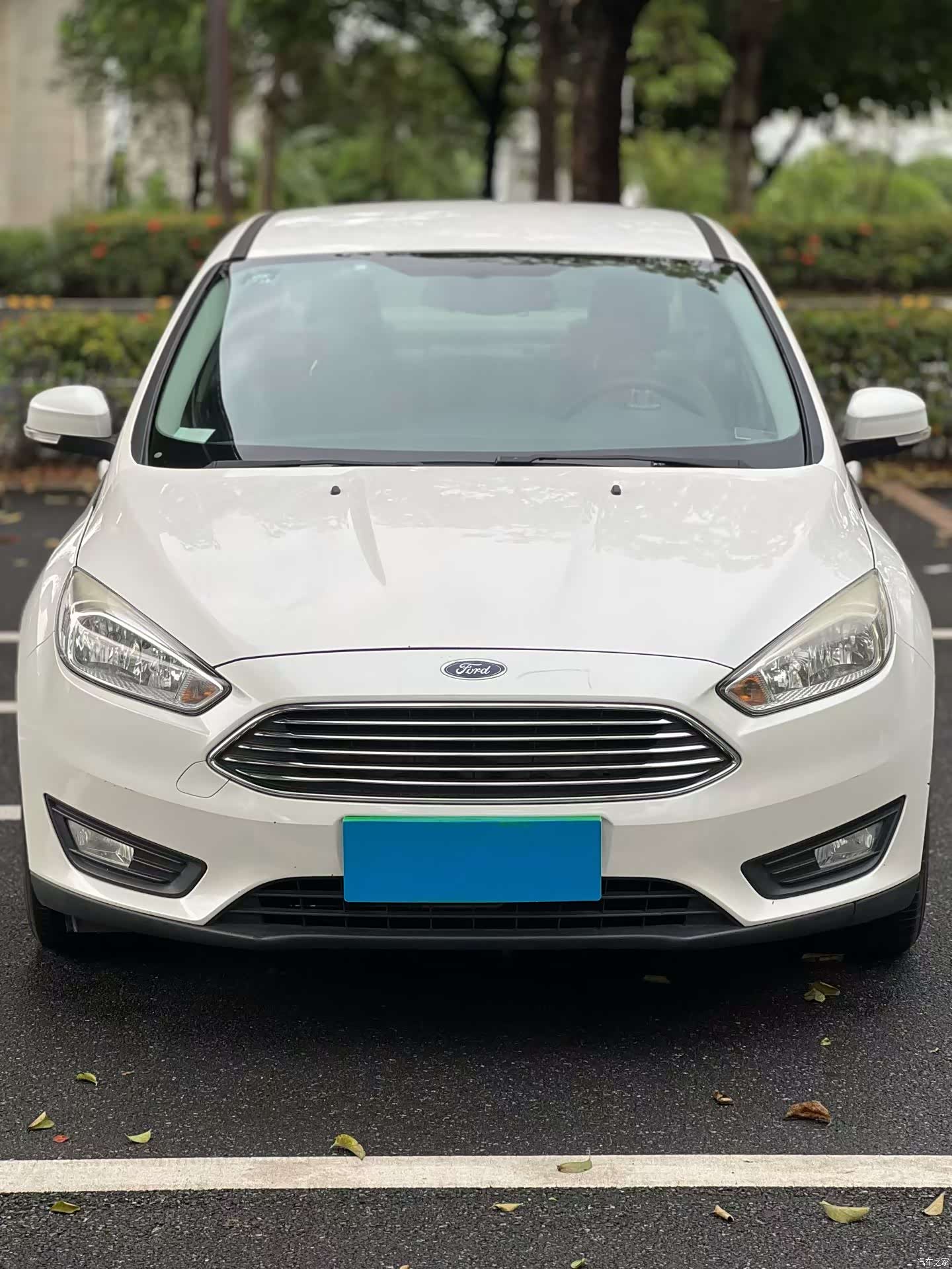Ford Focus, 2015 3