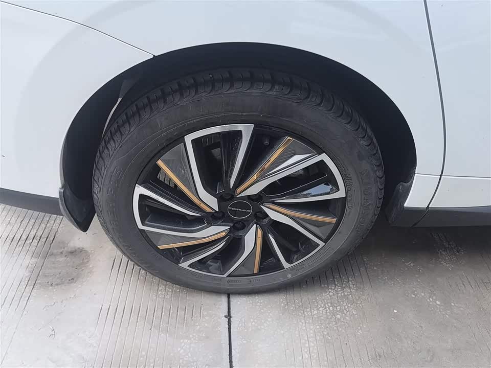 Forthing Popular yachts