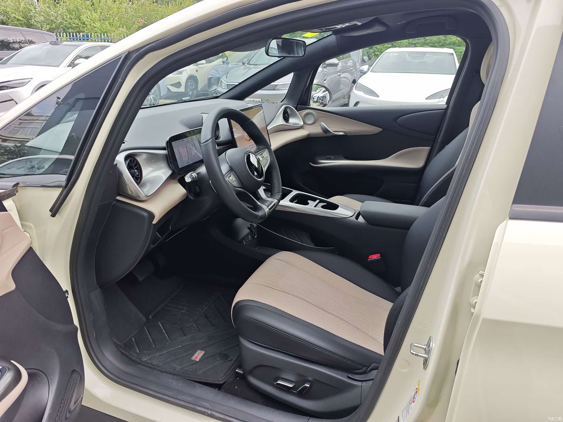 BYD Dolphin, 2025 8