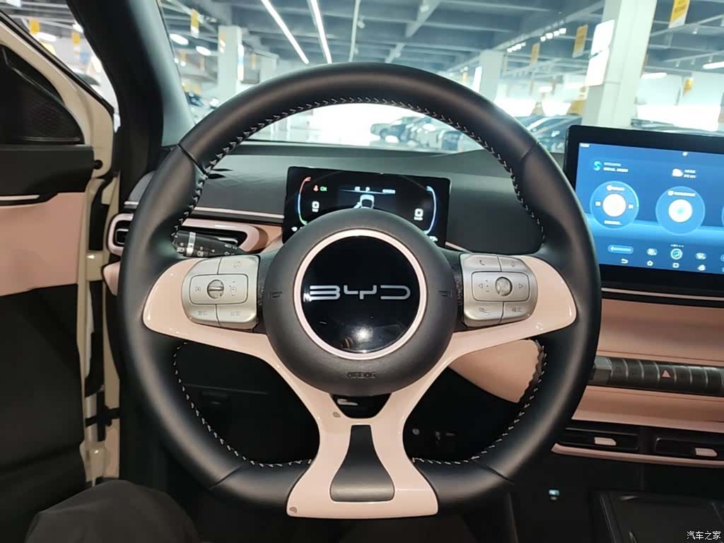 BYD Seagull, 2024 11