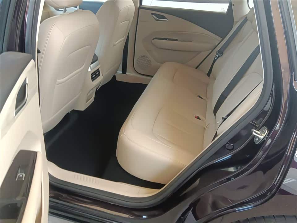 Wuling Wuling Starlight