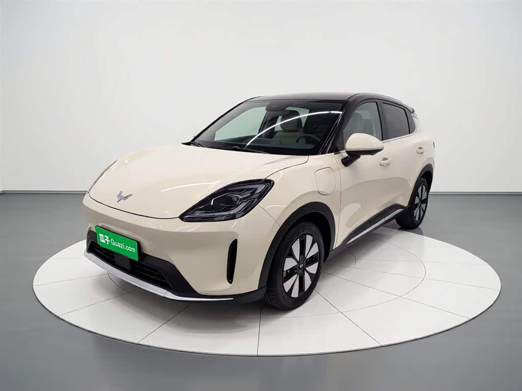 Wuling BinguoS