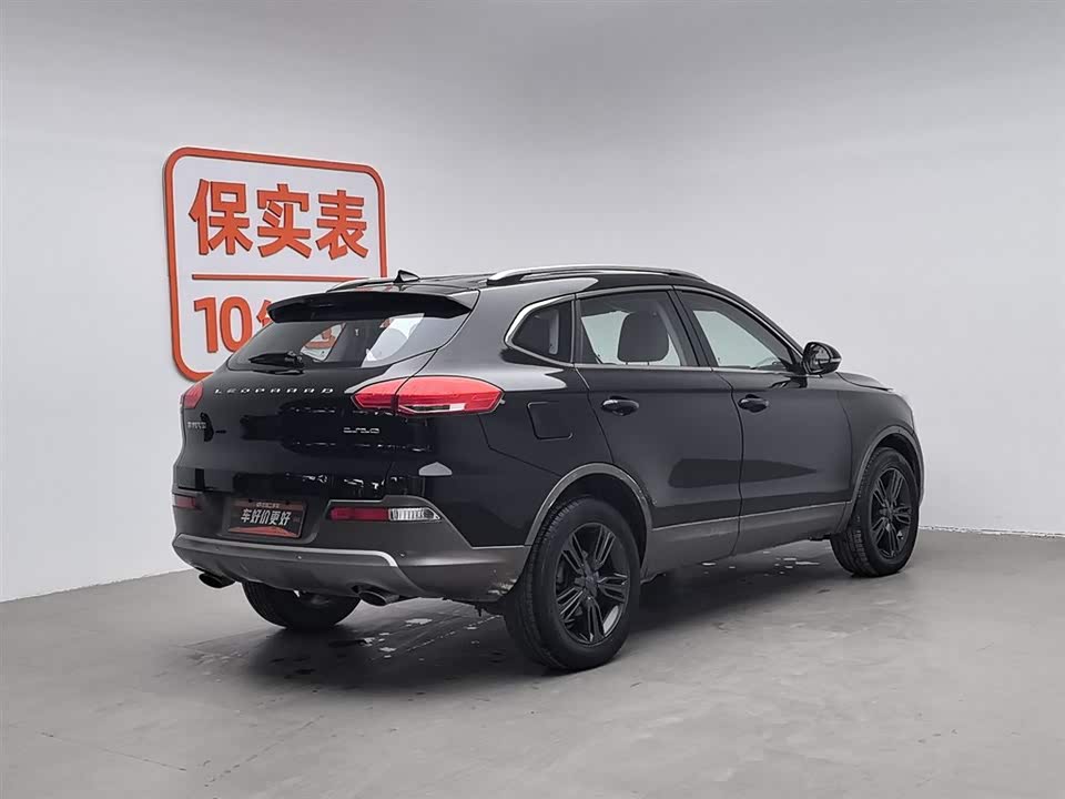 Leopaard Cheetah CS10