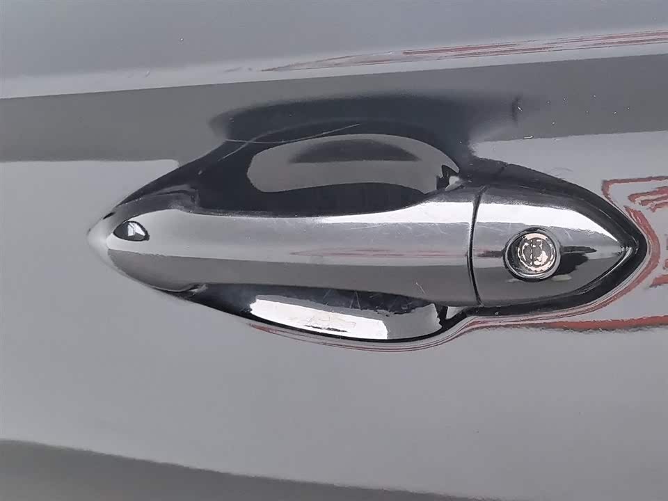 Leopaard Cheetah CS10