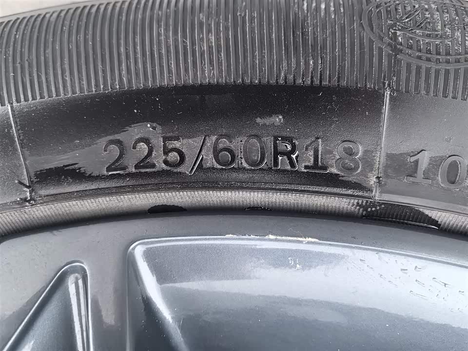 Leopaard Cheetah CS10