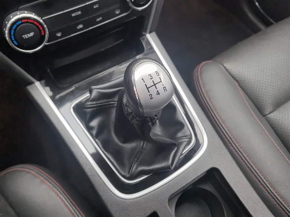 Leopaard Cheetah CS10