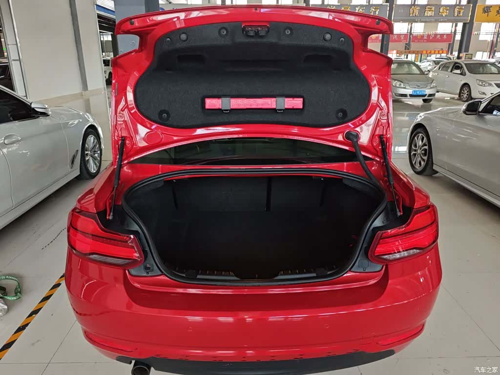 BMW 2 Series, 2018 16