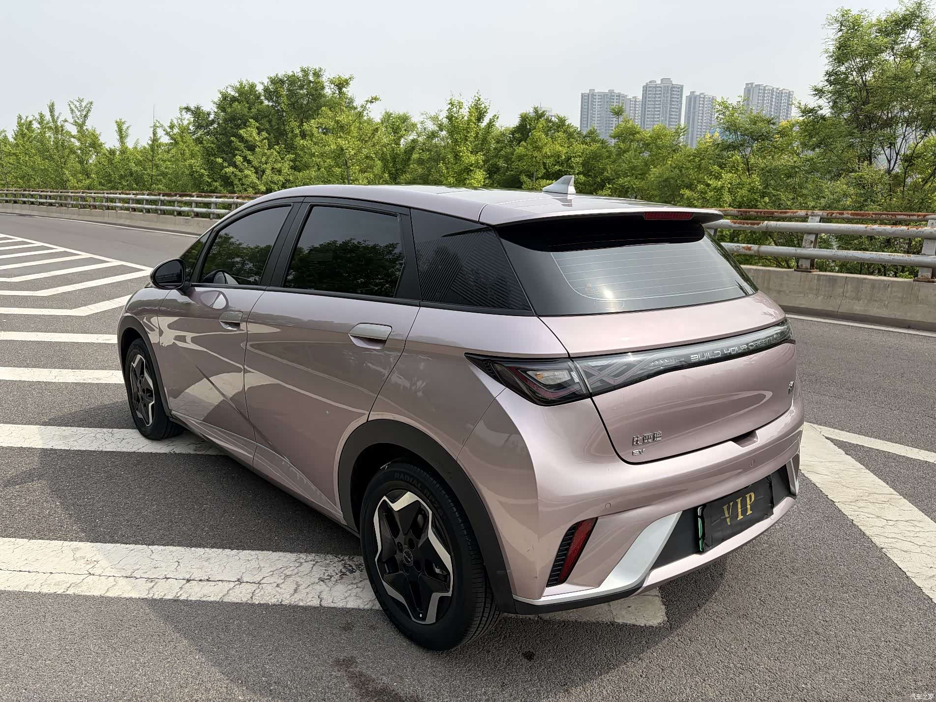 BYD Dolphin, 2023 10