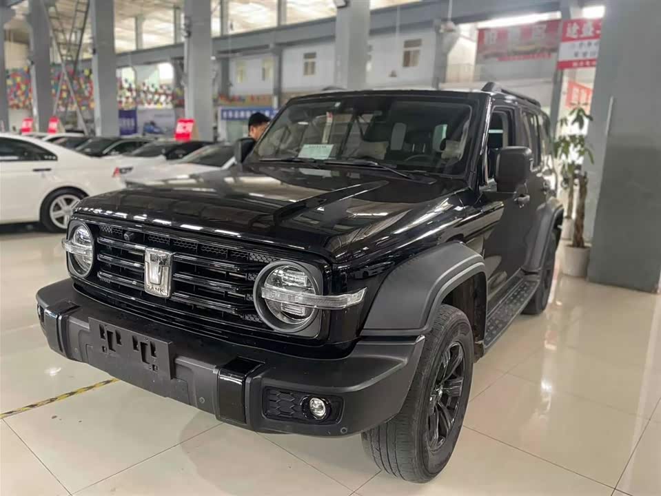 Tank 300