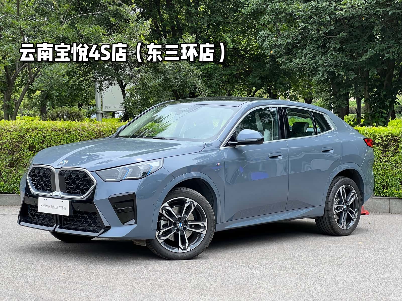 BMW X2