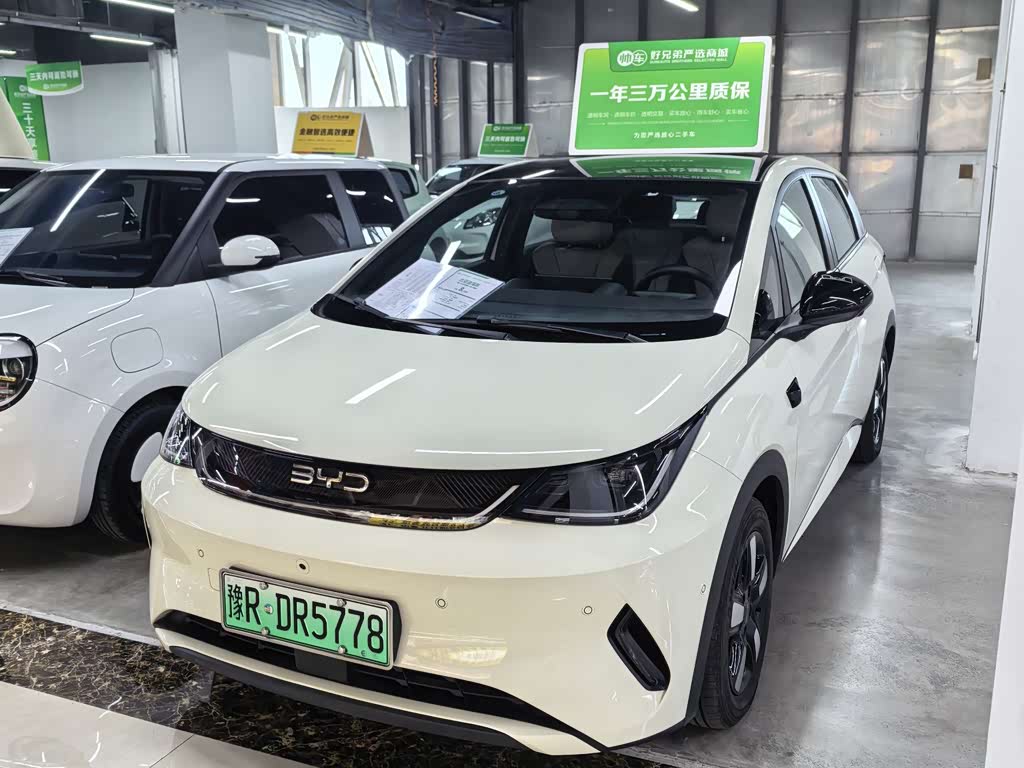 BYD Dolphin