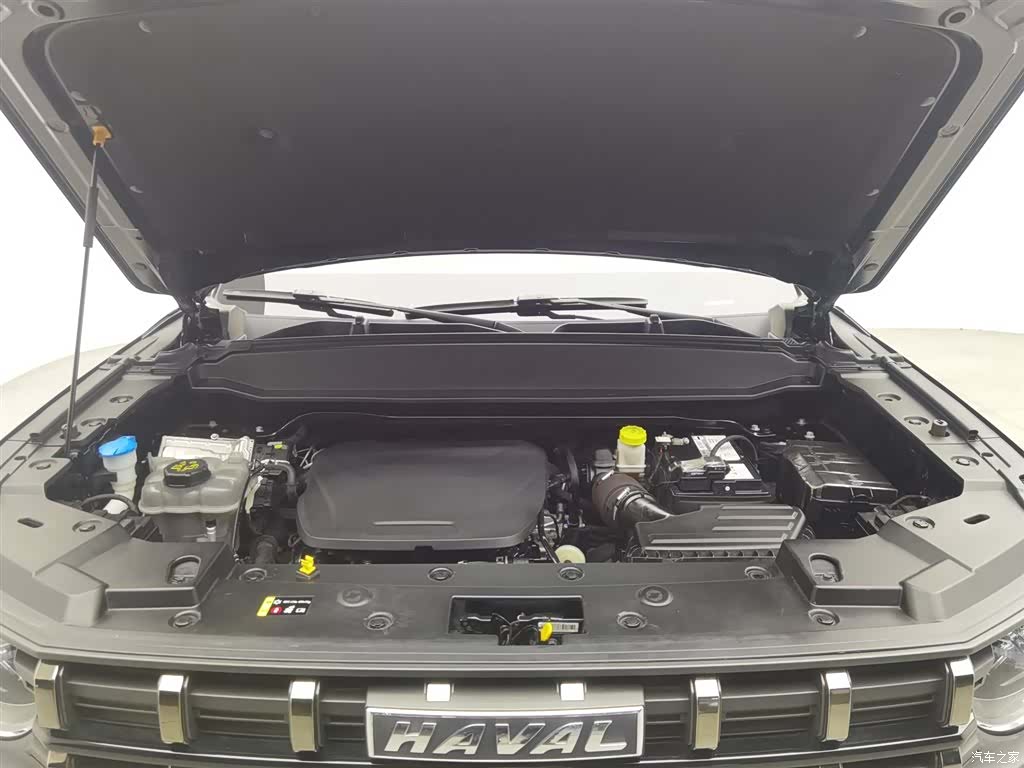 Haval Cool Dog, 2023 6