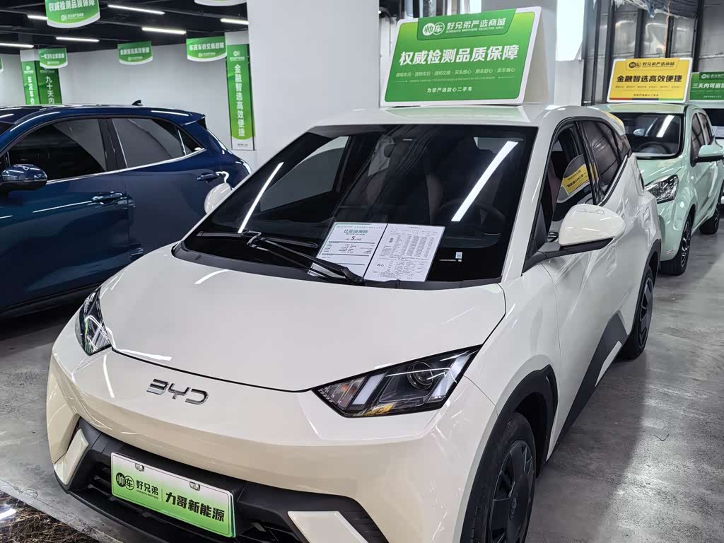 BYD Seagull