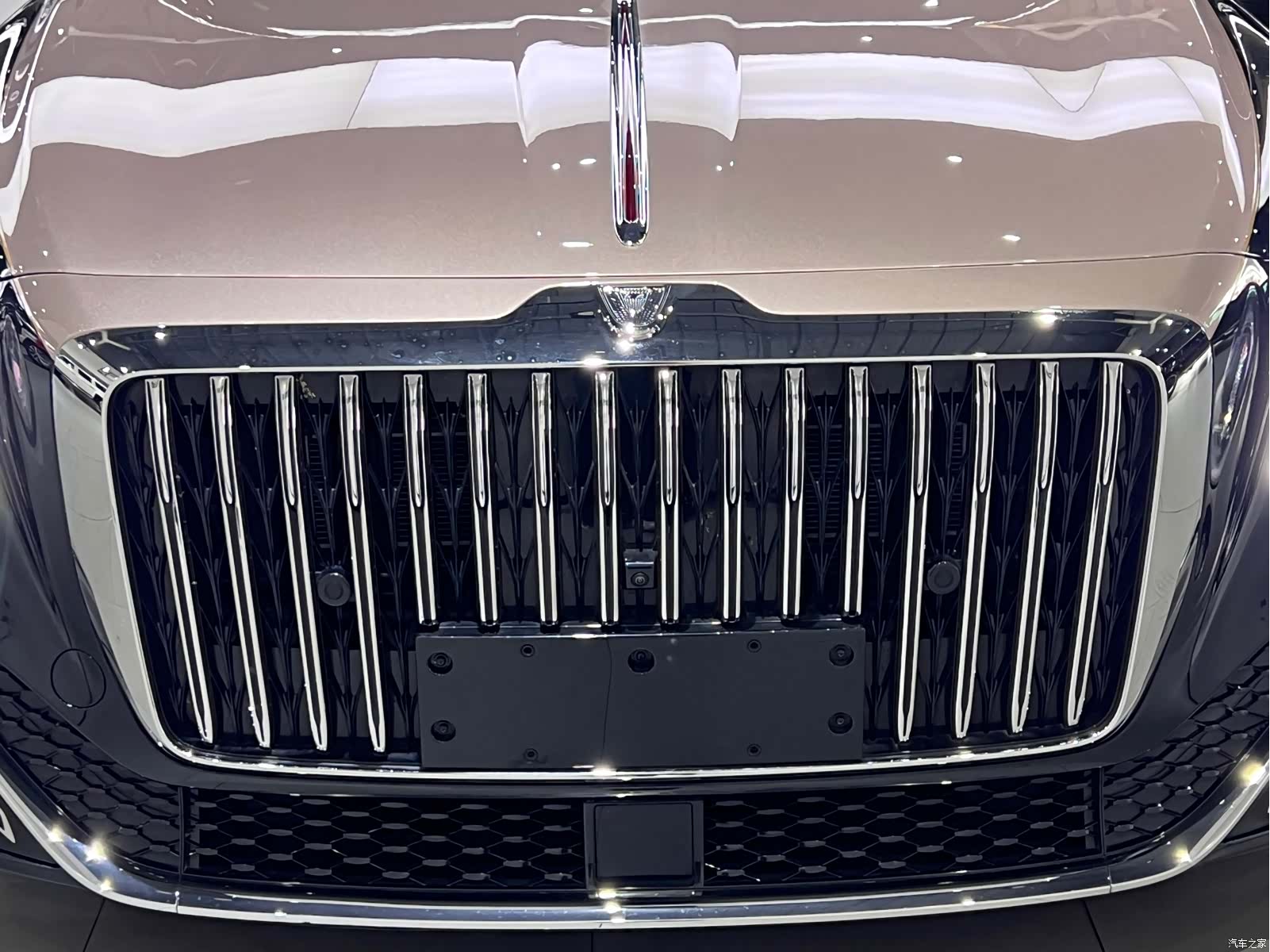 Hongqi Guoya, 2025 11