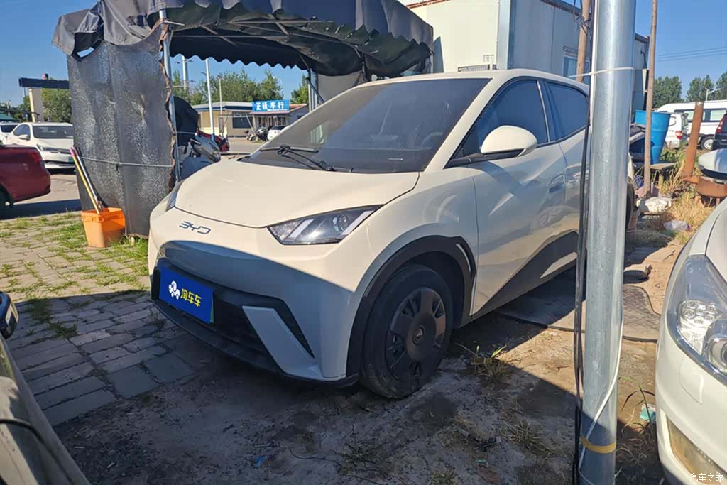 BYD Seagull, 2024 1