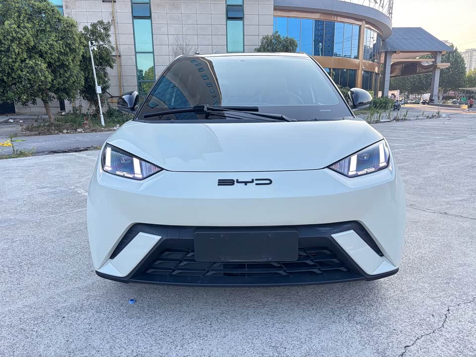 BYD Seagull