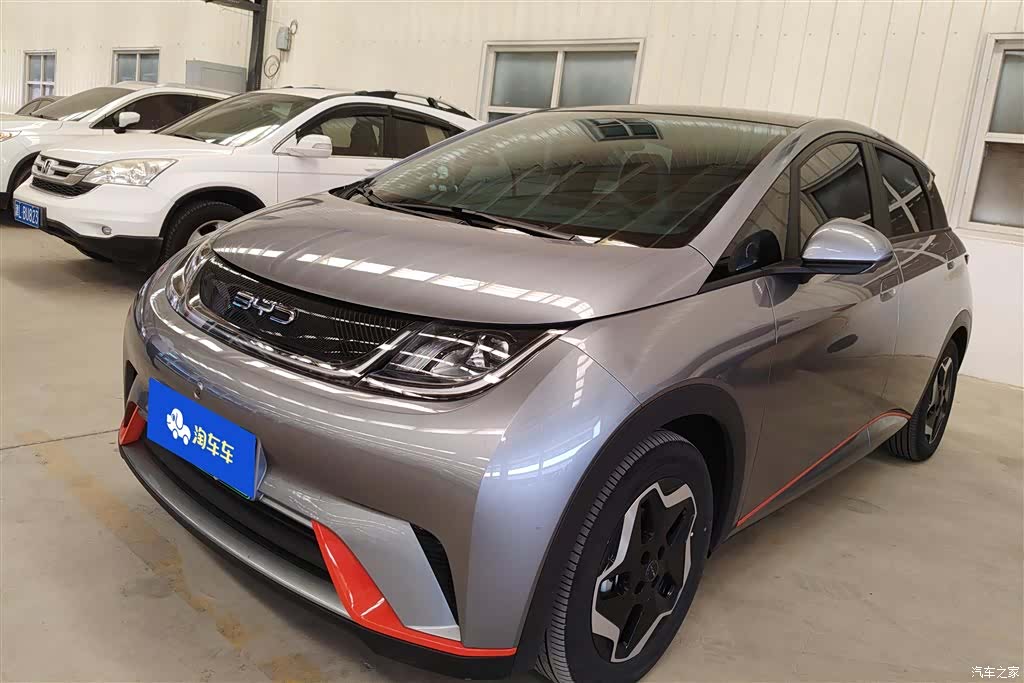 BYD Dolphin, 2022 1