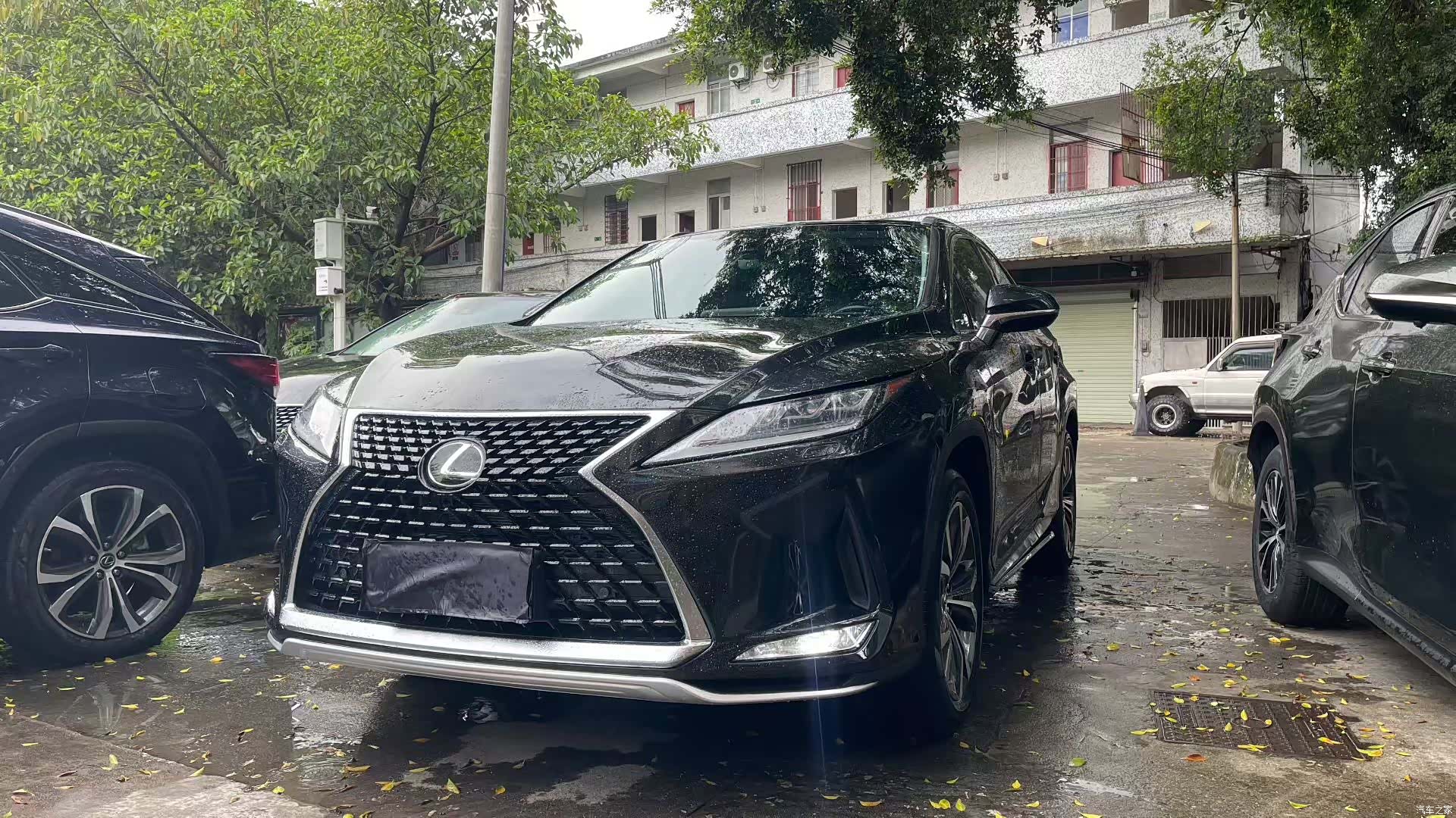 Lexus RX, 2022 1
