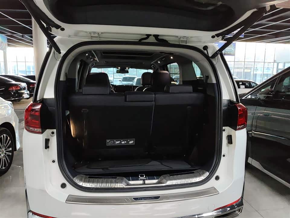 Trumpchi Trumpchi M8