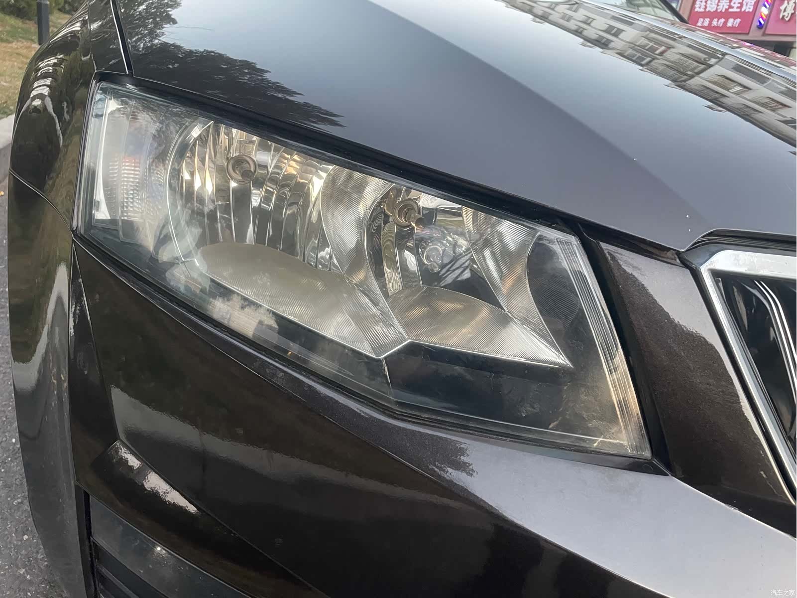 Skoda Octavia, 2017 все фото