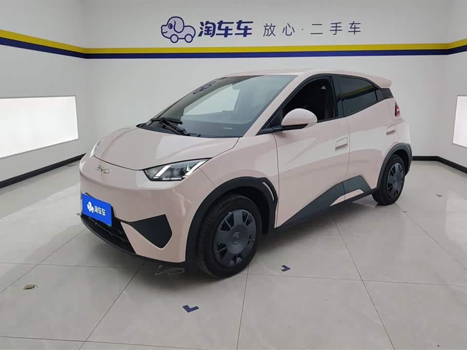 BYD Seagull