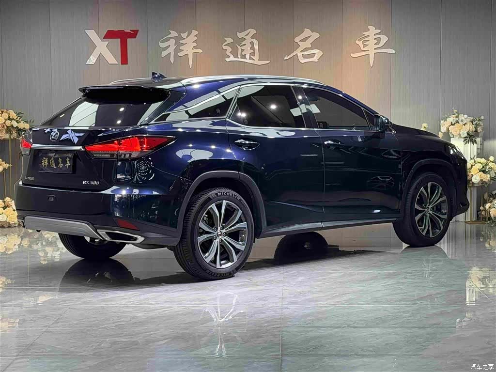 Lexus RX, 2020 23