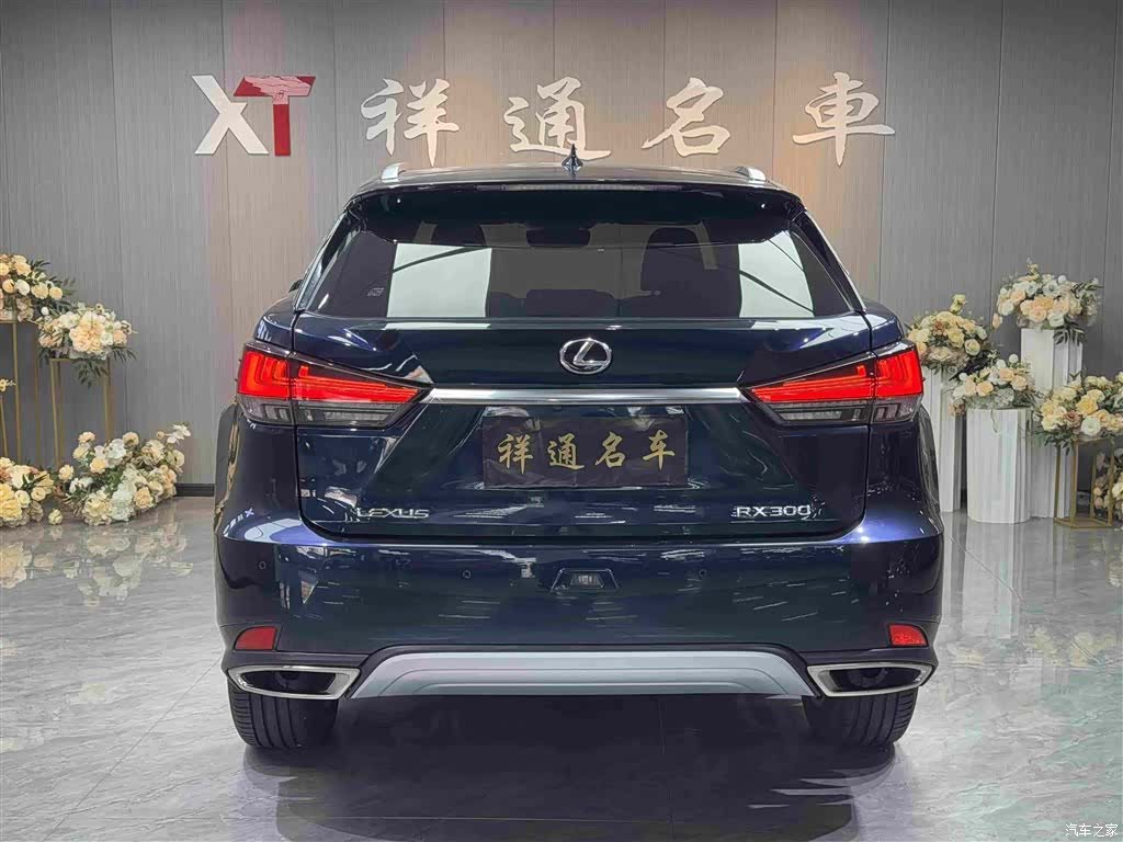 Lexus RX, 2020 22