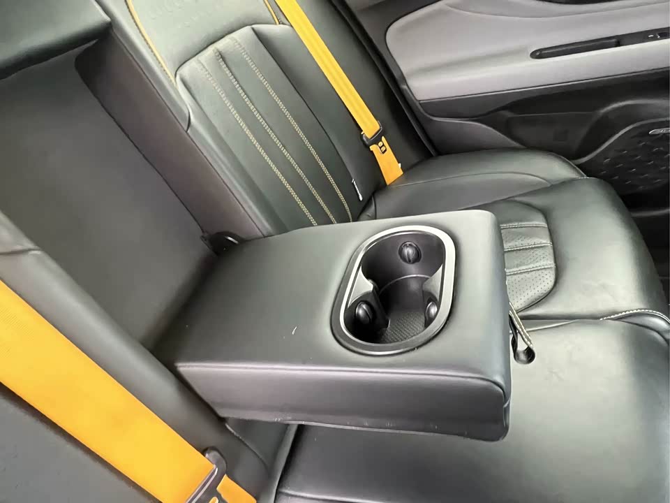 Trumpchi Shadow Leopard