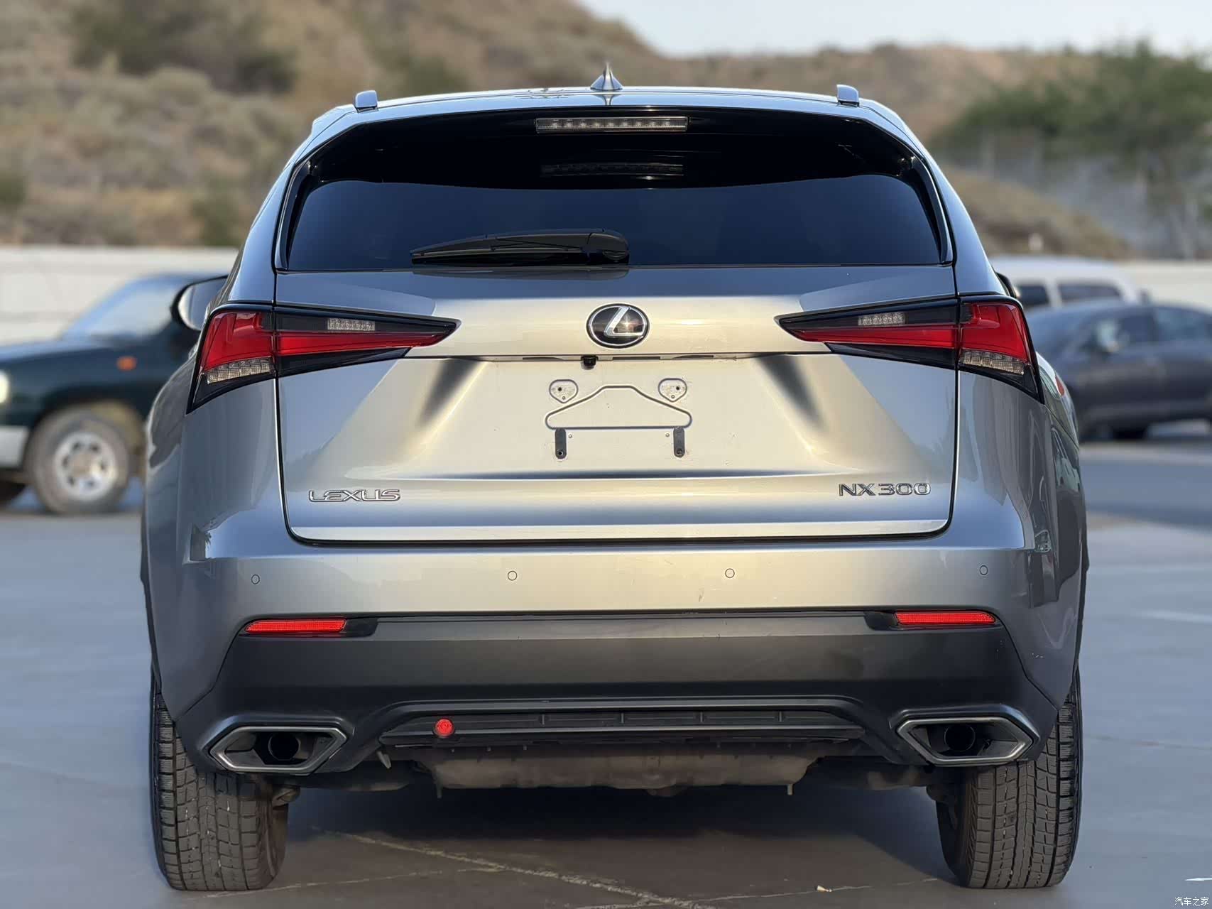 Lexus NX, 2020 все фото