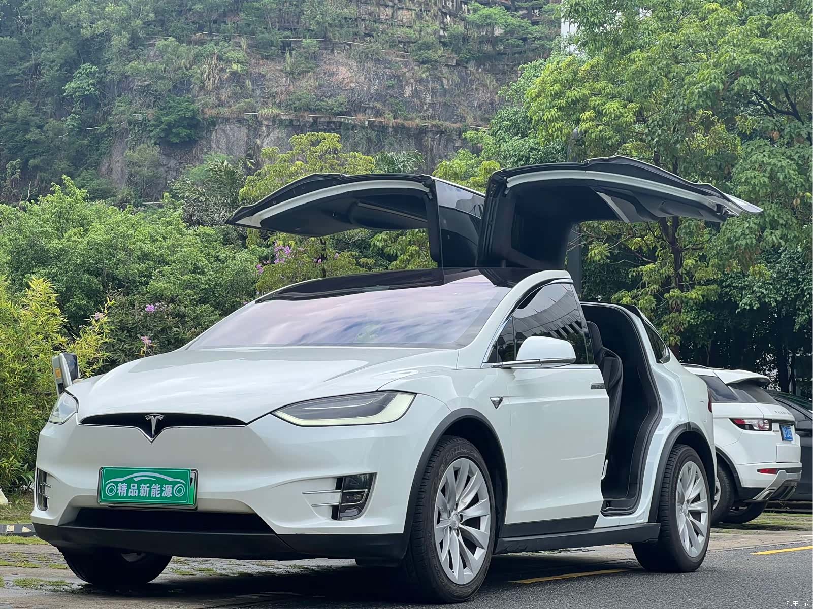 Tesla Model X, 2018 8