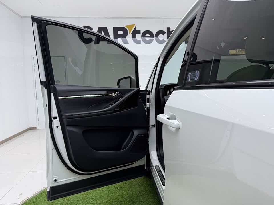 Trumpchi Trumpchi E9