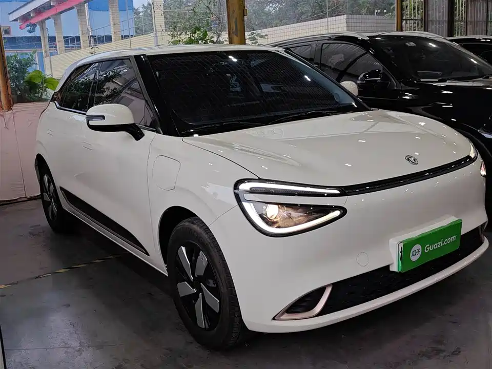 Dongfeng Nammi Nano 01