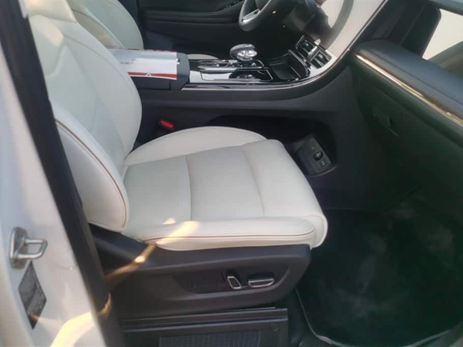 Trumpchi Trumpchi E9 Trumpchi Trumpchi E9