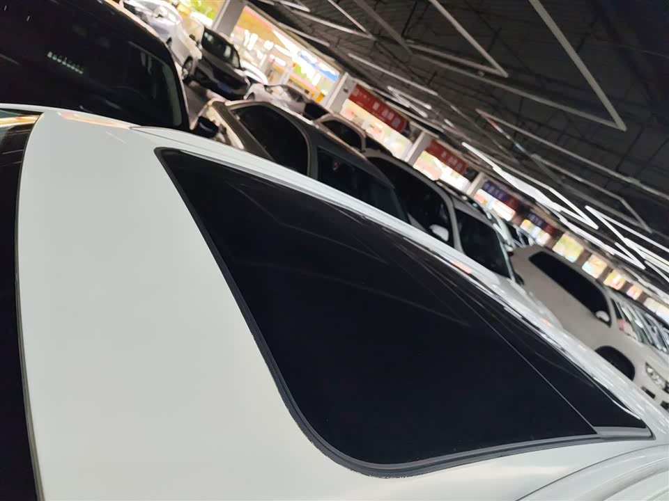 Volkswagen C-TREK Wei Collar