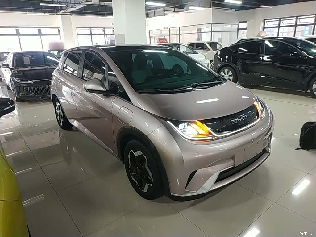 BYD Dolphin, 2022 4