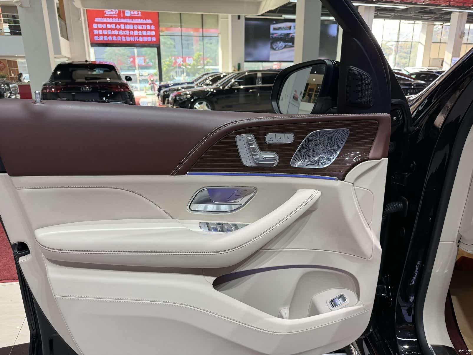Maybach GLS, 2021 10