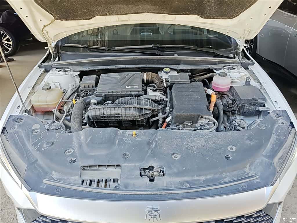 BYD Qin, 2024 20