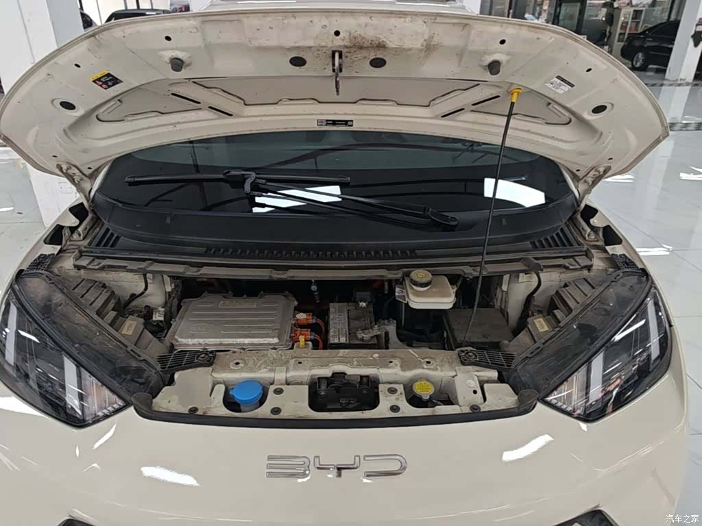 BYD Seagull, 2024 20
