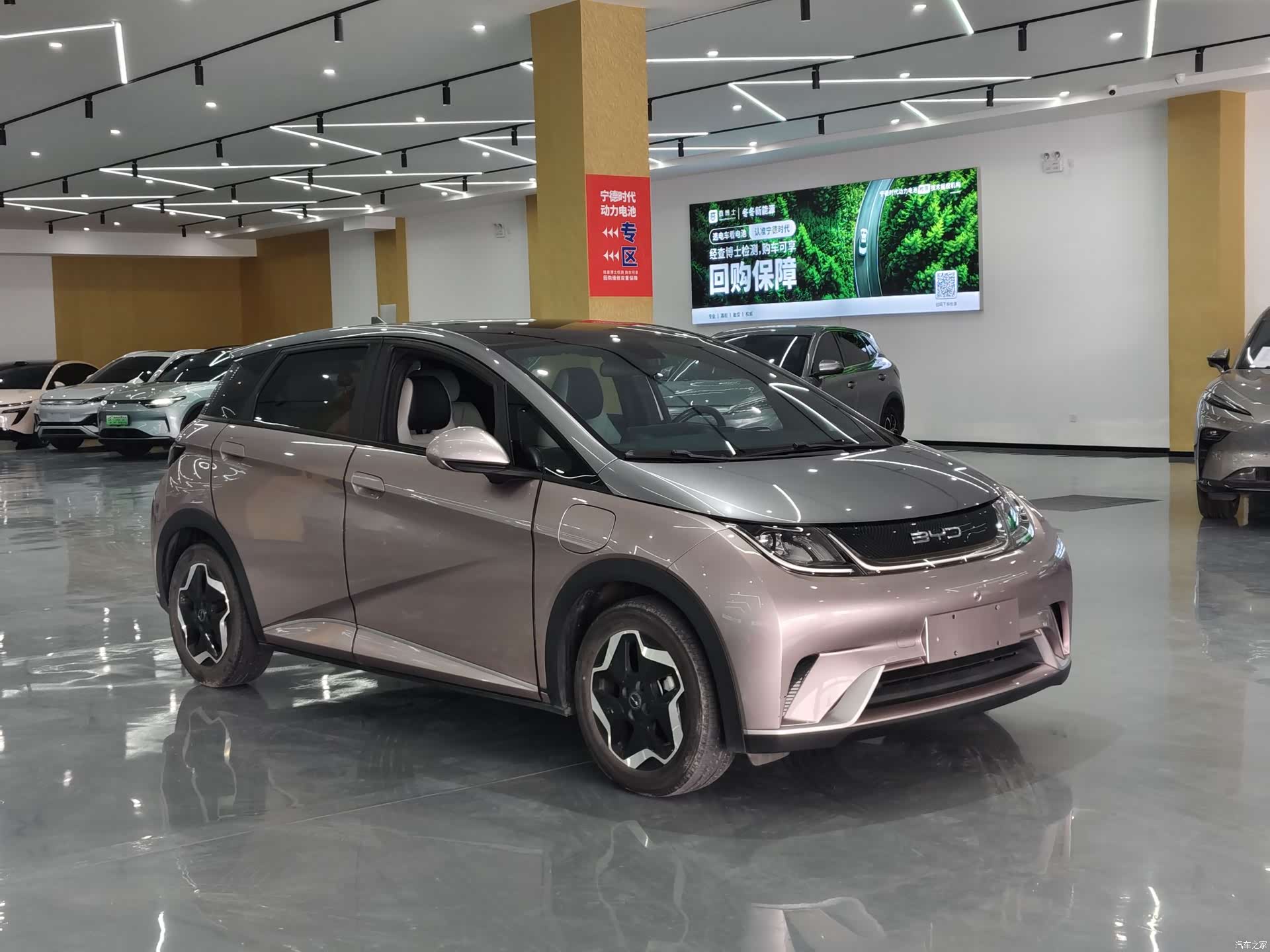 BYD Dolphin, 2022 3