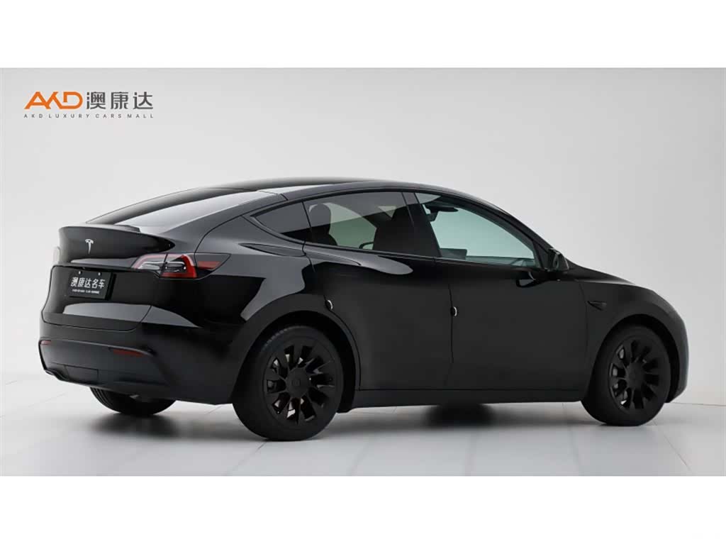 Tesla Model Y, 2022 3