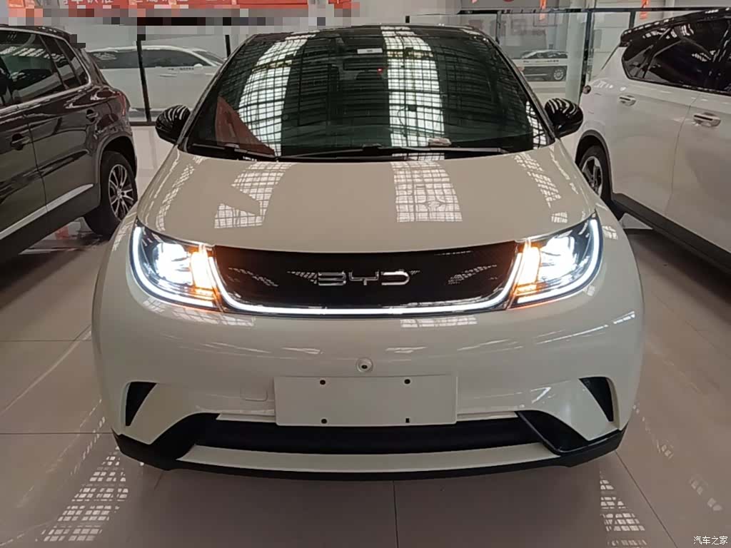 BYD Dolphin, 2023 3