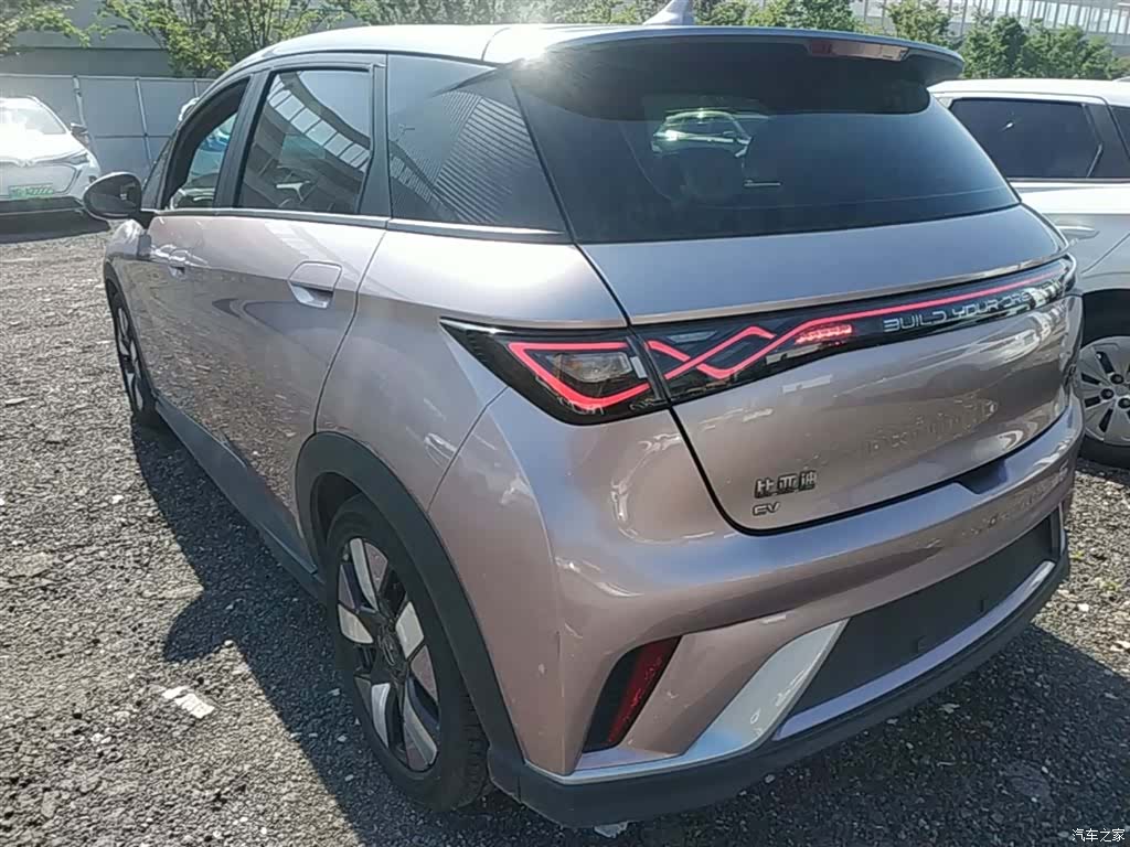 BYD Dolphin, 2022 все фото