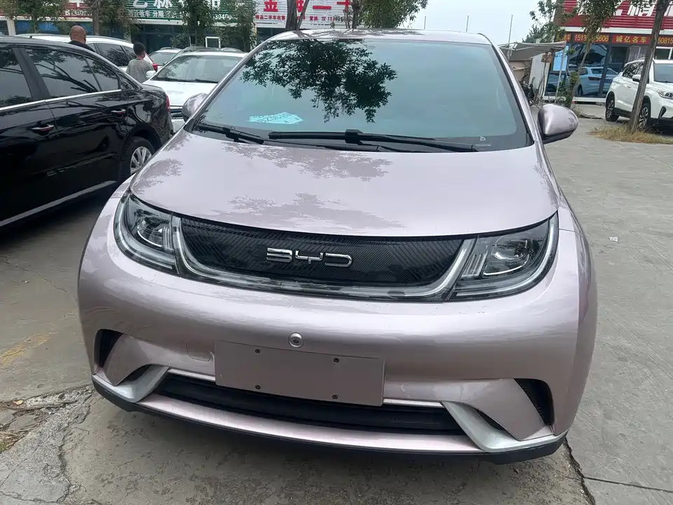 BYD dolphin