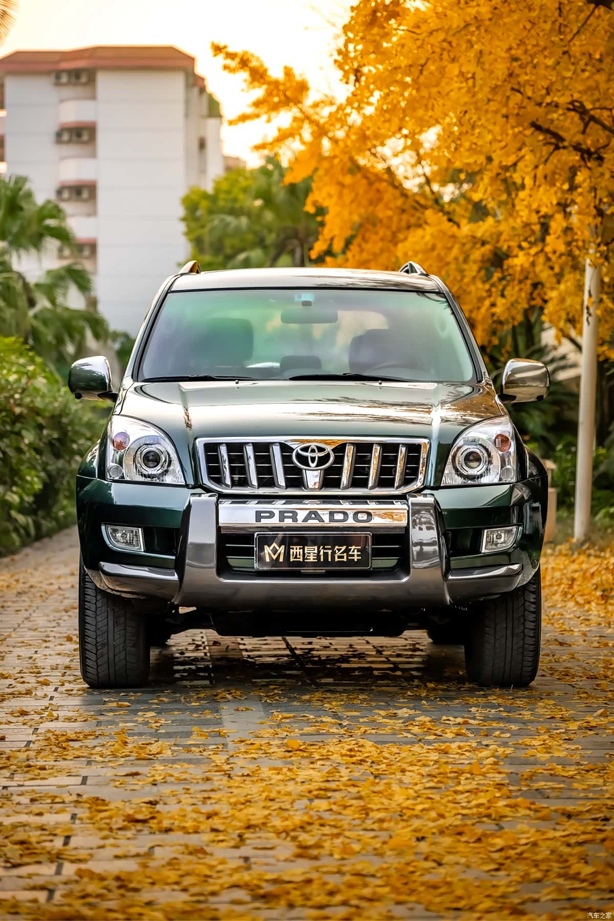 Toyota Prado, 2008 2