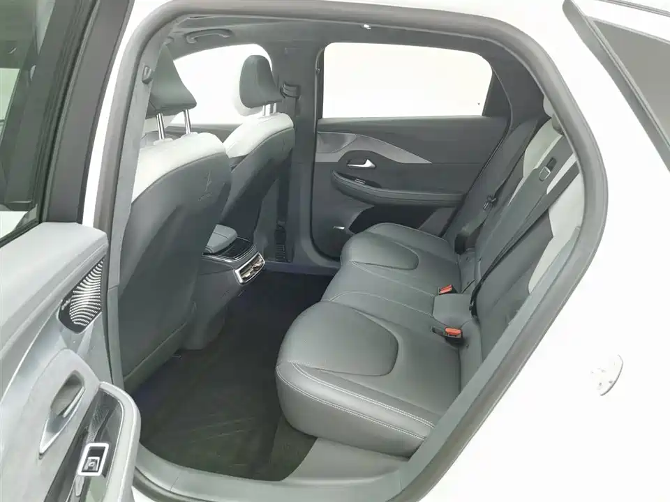 ARCFOX Polar Fox Alpha S